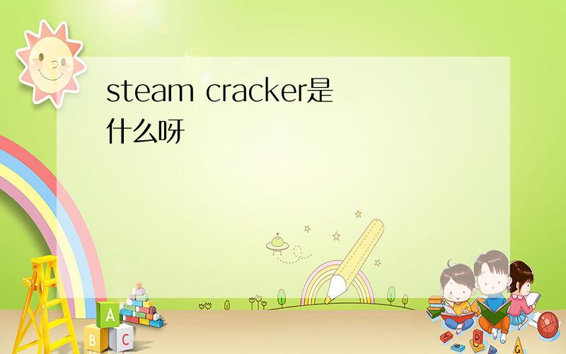 steam cracker是什么呀