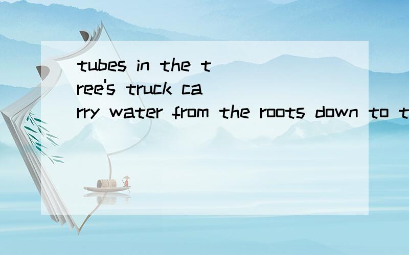 tubes in the tree's truck carry water from the roots down to the leaves.为什么句子中的down是错误的?