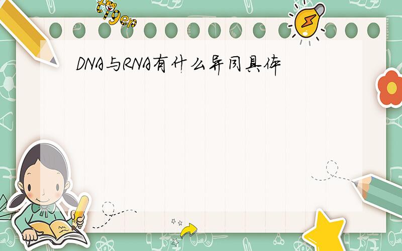 DNA与RNA有什么异同具体