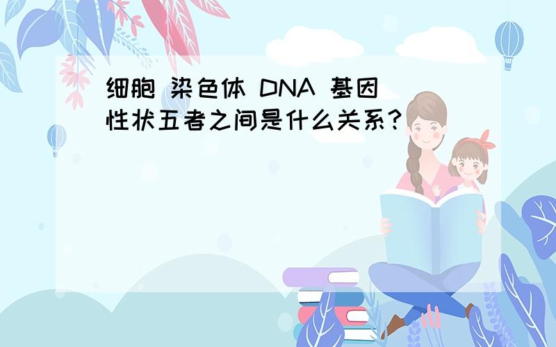 细胞 染色体 DNA 基因 性状五者之间是什么关系?