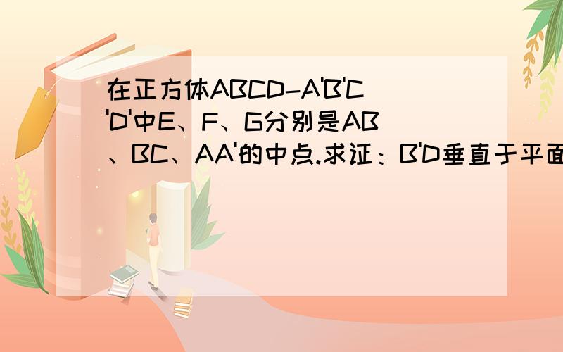 在正方体ABCD-A'B'C'D'中E、F、G分别是AB、BC、AA'的中点.求证：B'D垂直于平面EFG.