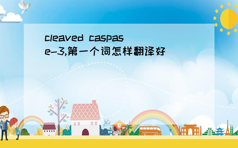 cleaved caspase-3,第一个词怎样翻译好