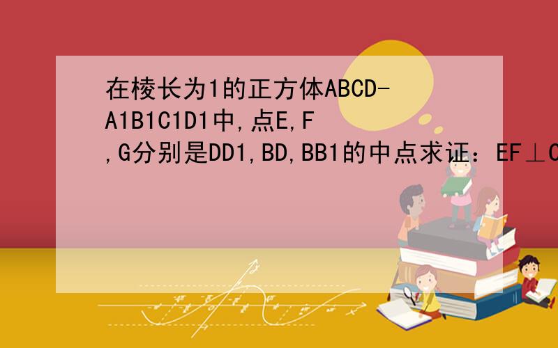 在棱长为1的正方体ABCD-A1B1C1D1中,点E,F,G分别是DD1,BD,BB1的中点求证：EF⊥CF； 用向量的方法