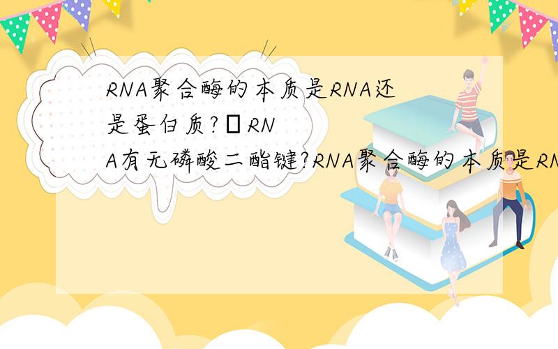 RNA聚合酶的本质是RNA还是蛋白质?​RNA有无磷酸二酯键?RNA聚合酶的本质是RNA还是蛋白质?RNA有无磷酸二酯键?