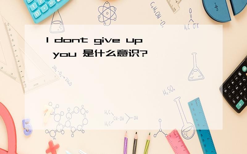 I dont give up you 是什么意识?