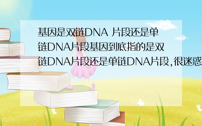 基因是双链DNA 片段还是单链DNA片段基因到底指的是双链DNA片段还是单链DNA片段,很迷惑哦,