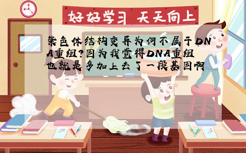 染色体结构变异为何不属于DNA重组?因为我觉得DNA重组也就是多加上去了一段基因啊