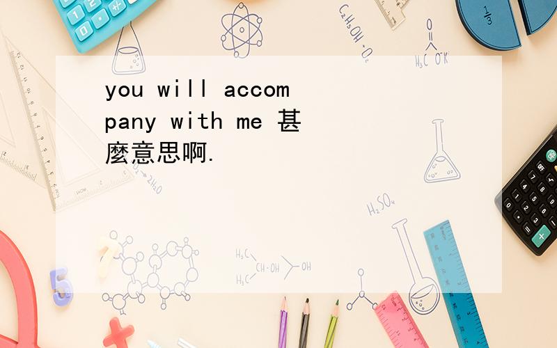 you will accompany with me 甚麼意思啊.