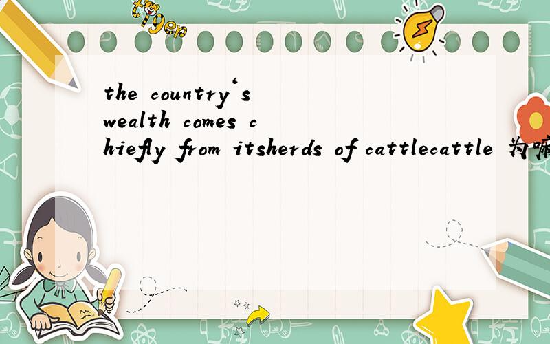 the country‘s wealth comes chiefly from itsherds of cattlecattle 为嘛不能加s
