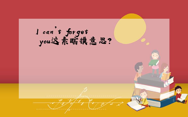 I can't forget you这素瞎摸意思?