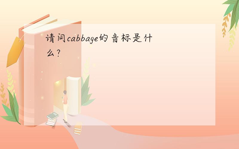 请问cabbage的音标是什么?
