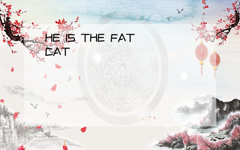 HE IS THE FAT CAT