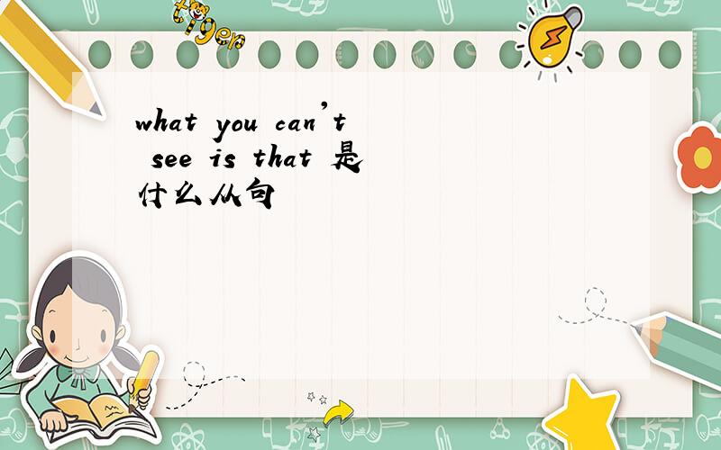 what you can't see is that 是什么从句