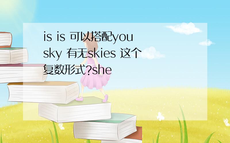 is is 可以搭配you sky 有无skies 这个复数形式?she