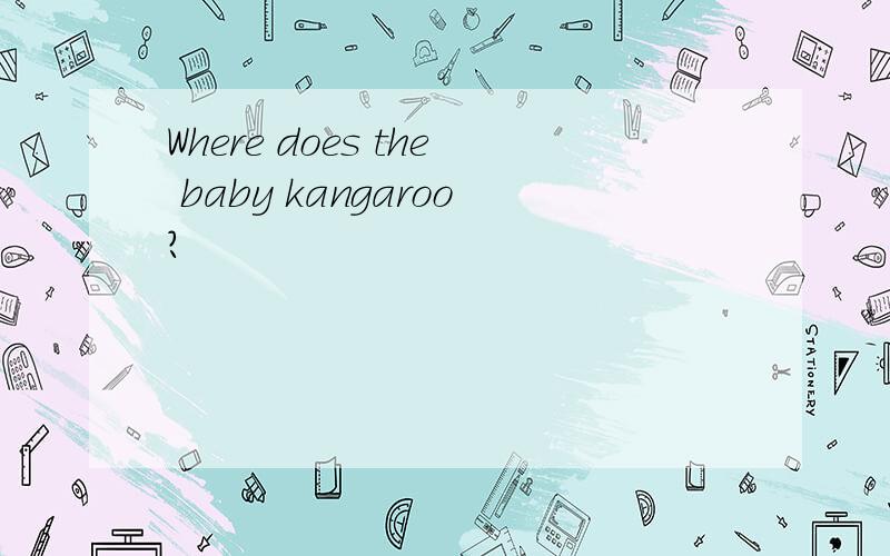 Where does the baby kangaroo?