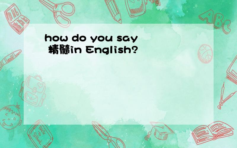 how do you say 精髓in English?