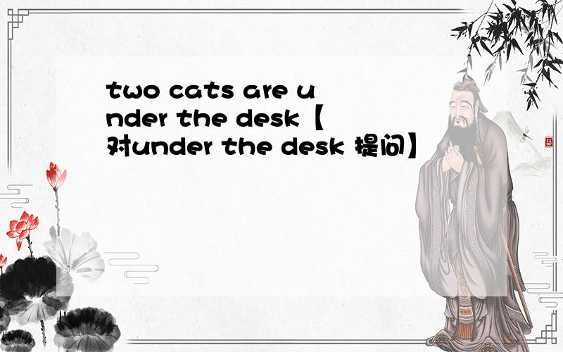 two cats are under the desk【对under the desk 提问】