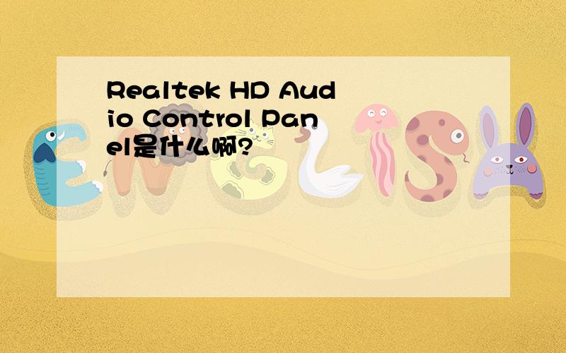 Realtek HD Audio Control Panel是什么啊?