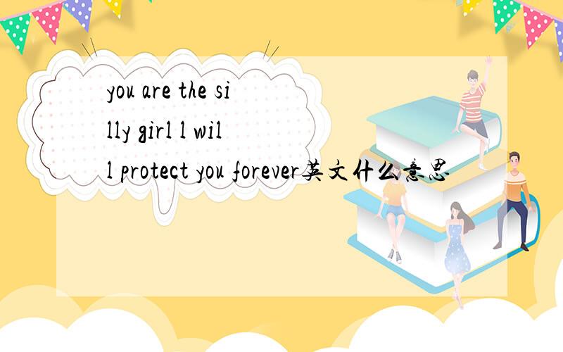 you are the silly girl l will protect you forever英文什么意思