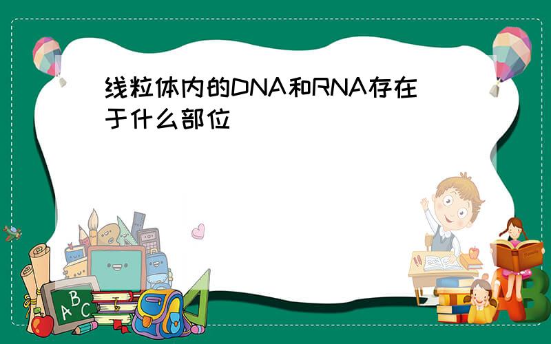 线粒体内的DNA和RNA存在于什么部位