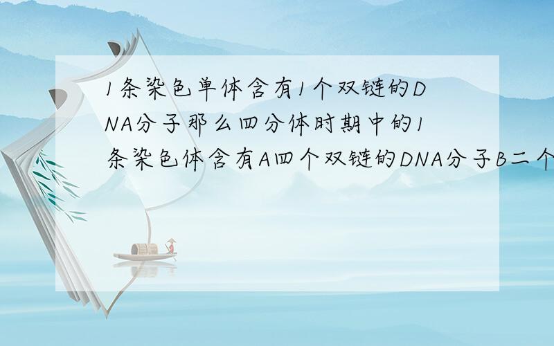 1条染色单体含有1个双链的DNA分子那么四分体时期中的1条染色体含有A四个双链的DNA分子B二个双链的DNA分子C二个单链的DNA分子D一个双链的DNA分子