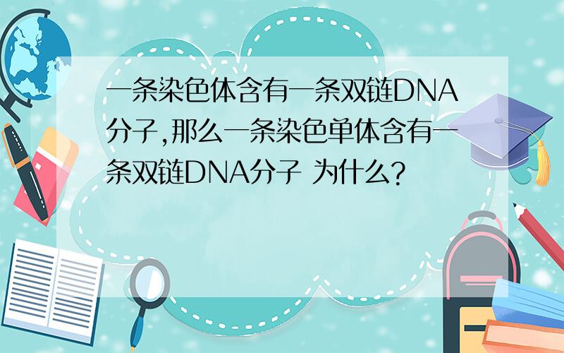 一条染色体含有一条双链DNA分子,那么一条染色单体含有一条双链DNA分子 为什么?