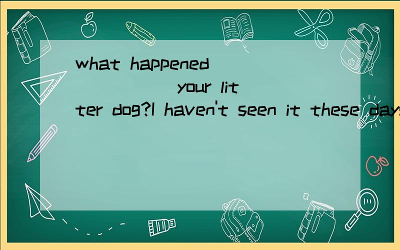 what happened______ your litter dog?I haven't seen it these days A with B in C of D to