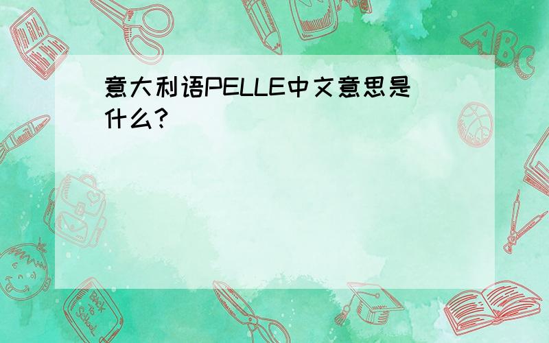 意大利语PELLE中文意思是什么?